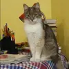 Отзыв от Антонина Грекова